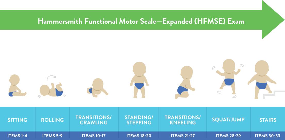 Hammersmith Functional Motor Scale—Expanded (HFMSE) Exam 